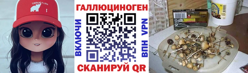 гидра ссылка  Няндома  Галлюциногенные грибы GOLDEN TEACHER 